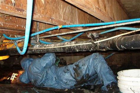 How to Cleanup Sewage in a Crawl Space 